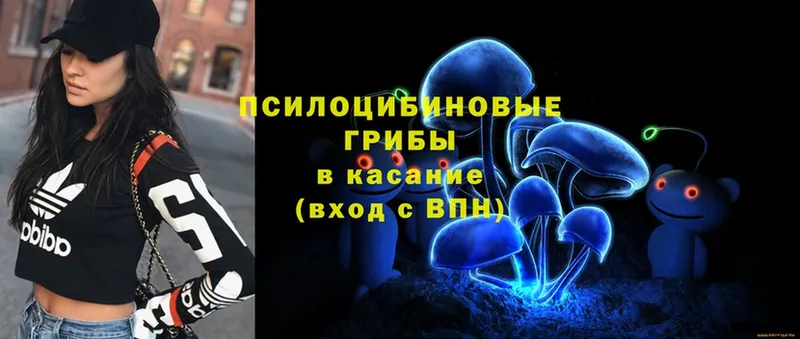 Галлюциногенные грибы Psilocybine cubensis  Кизел 